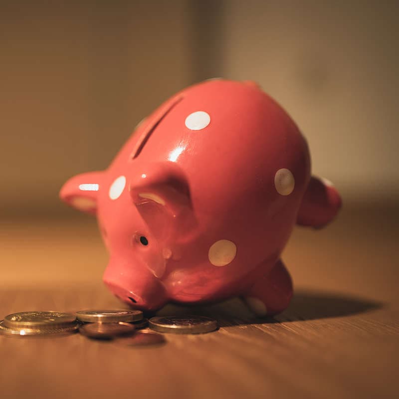 Chinese New Year Pig